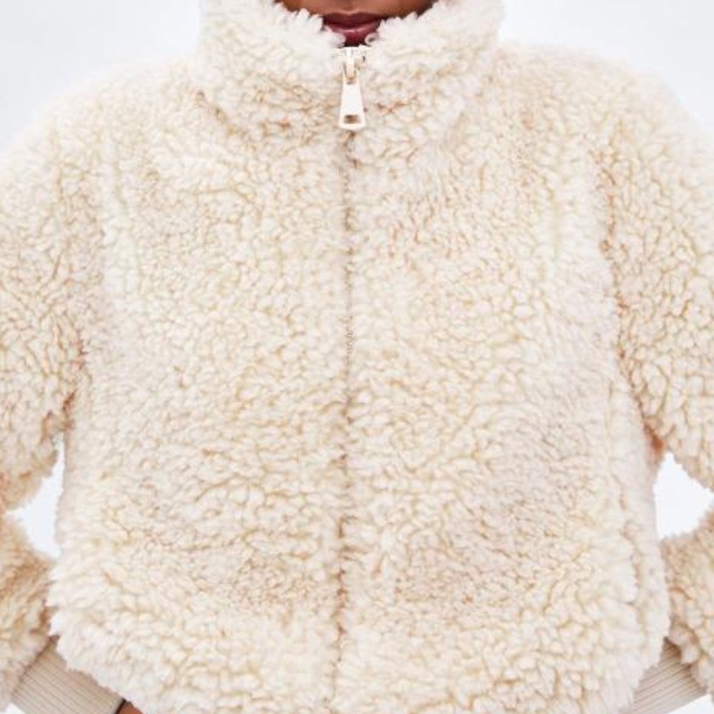 Zara Teddy Coat